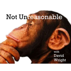 The Not Unreasonable Podcast-logo