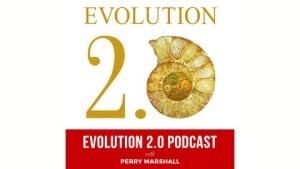 Evolution 2.0-logo