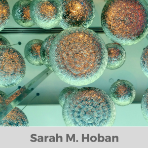 Blog - Sarah M. Hoban-logo