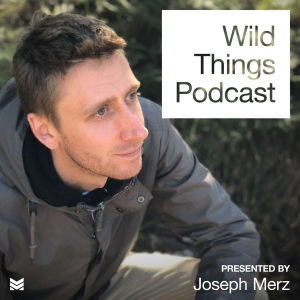 Wild Things Podcast-logo