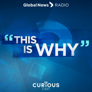 This Is Why-logo