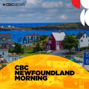 CBC Newfoundland Morning-logo