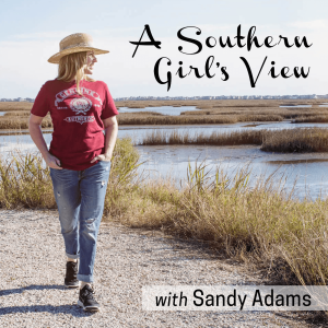 A Southern Girl’s View with Sandy Adams-logo
