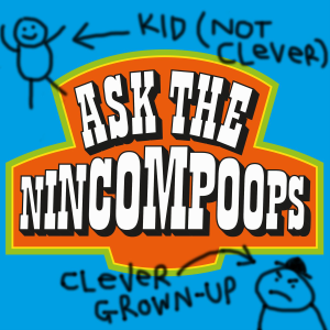 Ask The Nincompoops-logo