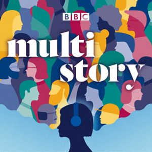 Multi Story-logo