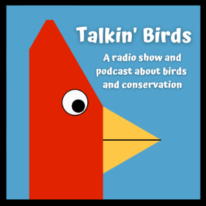 Talkin' Birds-logo