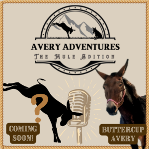Avery Adventures-logo