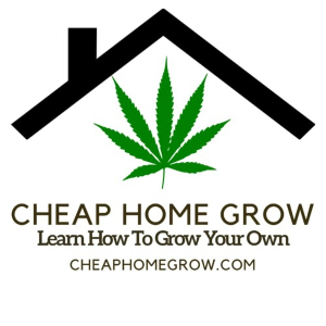 Cheap Home Grow - Learn How To Grow Cannabis Affordably Podcast-logo
