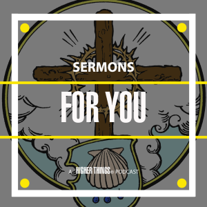 “You’ll know a good tree by the ‘I forgive you’ he preaches…” Trinity 8 2019