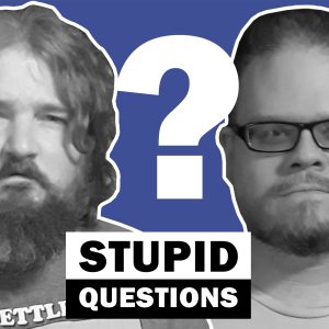 Stupid Questions-logo