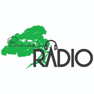 Bonsai Radio-logo