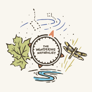 The Wandering Naturalist-logo