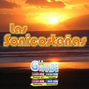 LAS SONICOSTEÑAS-logo