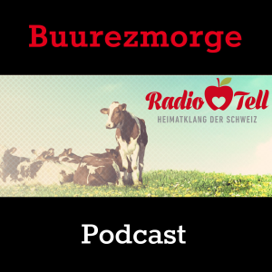 Radio Tell - Volkstümliches Buurezmorge-logo
