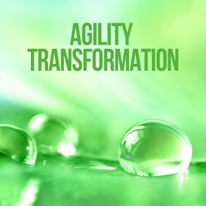 Agility Transformation-logo