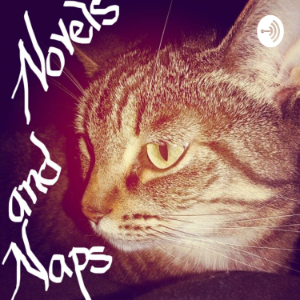 Novels and Naps-logo