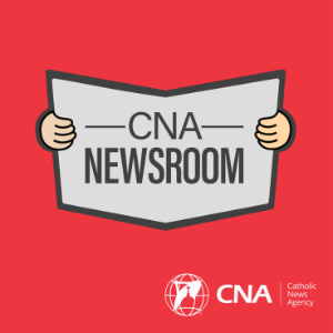 CNA Newsroom-logo