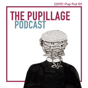 The Pupillage Podcast-logo
