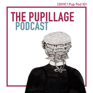 The Pupillage Podcast-logo