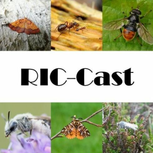 RIC-Cast-logo