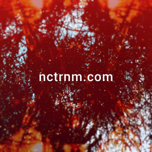 Nctrnm | Linktree-logo
