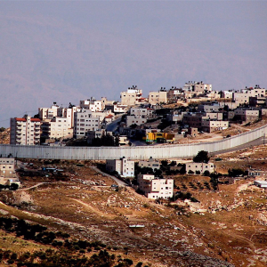 Occupied Thoughts-logo