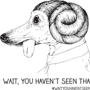 Wait, You Haven't Seen That?!-logo
