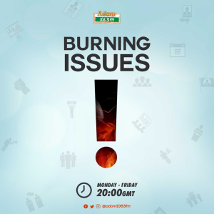 Burning Issues-logo