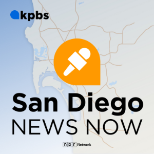 San Diego News Now-logo
