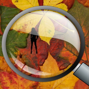 Missing In Canada-logo