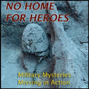 NO HOME FOR HEROES-logo