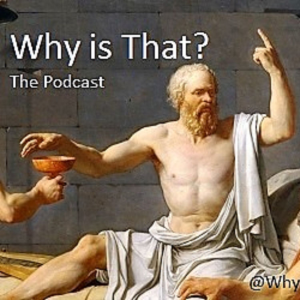 Why Is That Podcast-logo