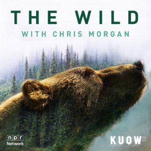 The Wild with Chris Morgan-logo