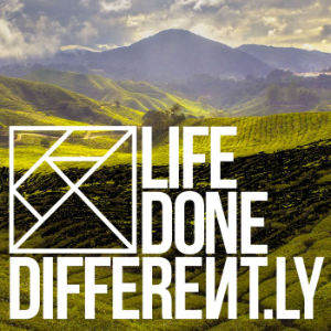 LifeDoneDifferent.ly-logo