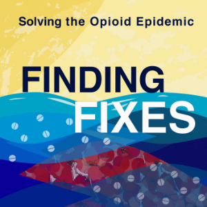 Finding Fixes-logo