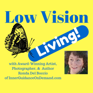 Low Vision Living: Not Much Eyesight - Plenty of VISION!-logo
