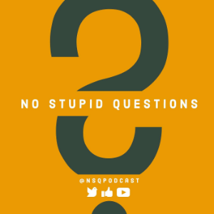 No Stupid Questions-logo
