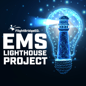 The EMS Lighthouse Project-logo