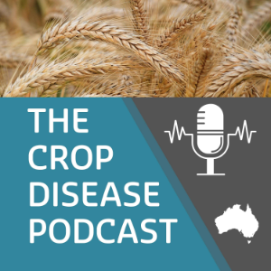 Crop Disease Podcast-logo
