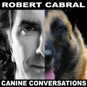 Canine Conversations - Dog Training Podcast-logo