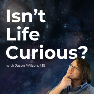 Isn't Life Curious?-logo