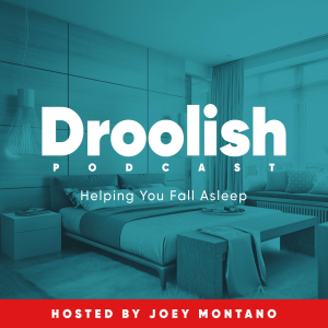 Droolish: Sleep & Relaxation Podcast-logo