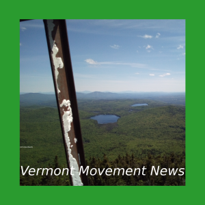 Vermont Movement News-logo
