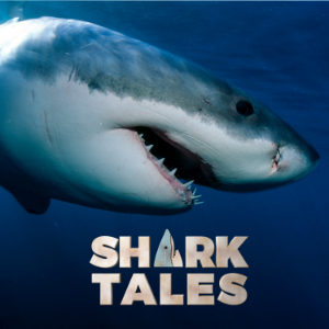 Shark Tales-logo