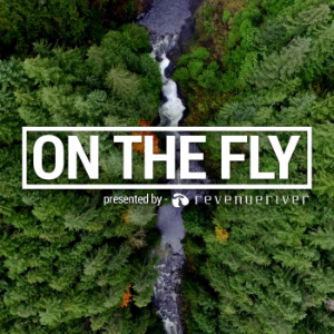 On The Fly-logo
