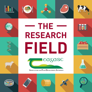 The Research Field-logo