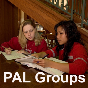 Peer Assisted Learning (PAL) Groups : College Group Tutoring and Study Review Groups-logo