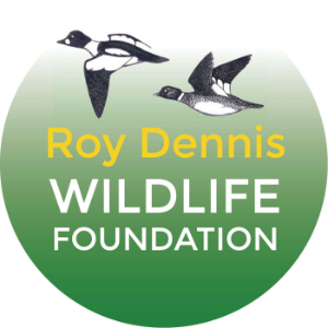 Roy Dennis Wildlife Foundation: hands-on conservation-logo