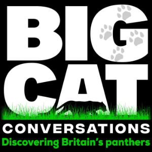 Big Cat Conversations-logo