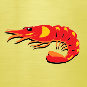 The CHRILLCAST-logo